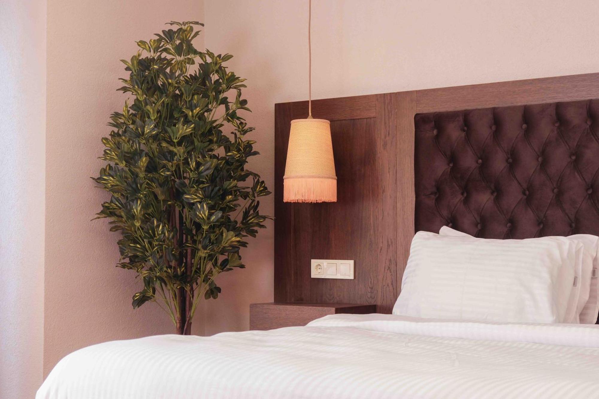 Ağva Phellos Suites Boutique Hotel מראה חיצוני תמונה